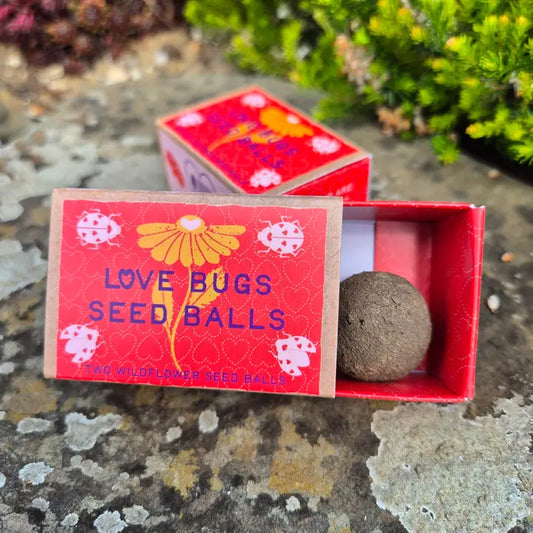 5 Benefits of Choosing Wildflower Seeds Over Supermarket Flowers