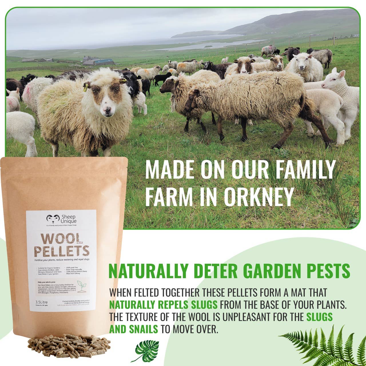 Garden Wool Pellets - Natural Fertiliser Eco, Peat-Free 3.5L