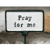Plant Sign -  Pray For Me