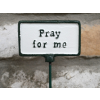 Plant Sign -  Pray For Me