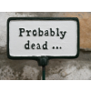 Plant Sign - Probably Dead...