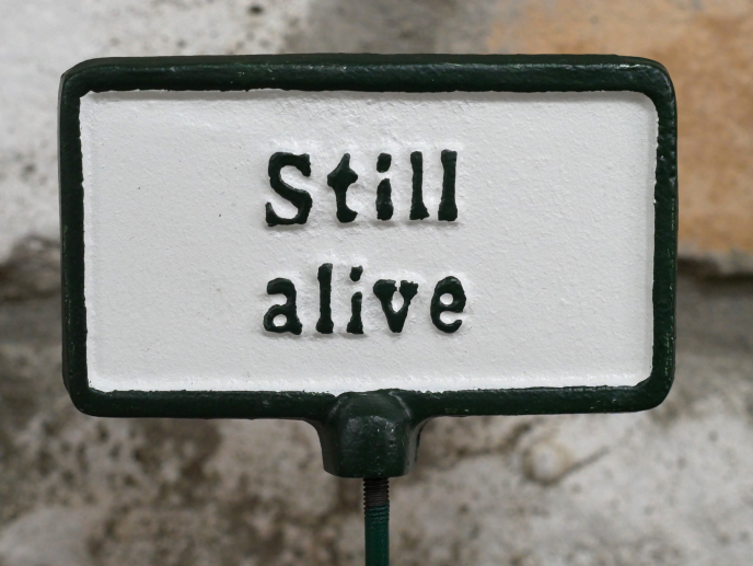 Plant Sign -  Still Alive