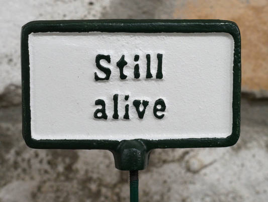 Plant Sign -  Still Alive