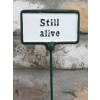 Plant Sign -  Still Alive