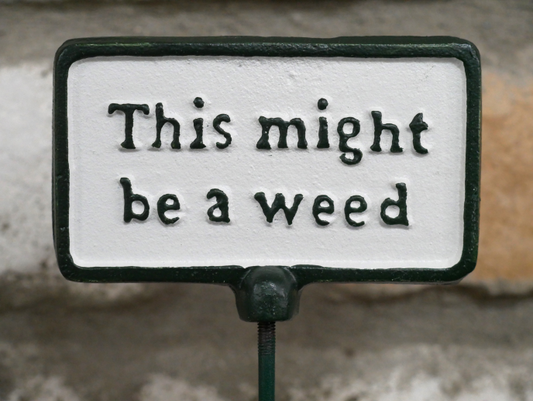 Plant Sign - This Might Be A Weed