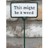 Plant Sign - This Might Be A Weed