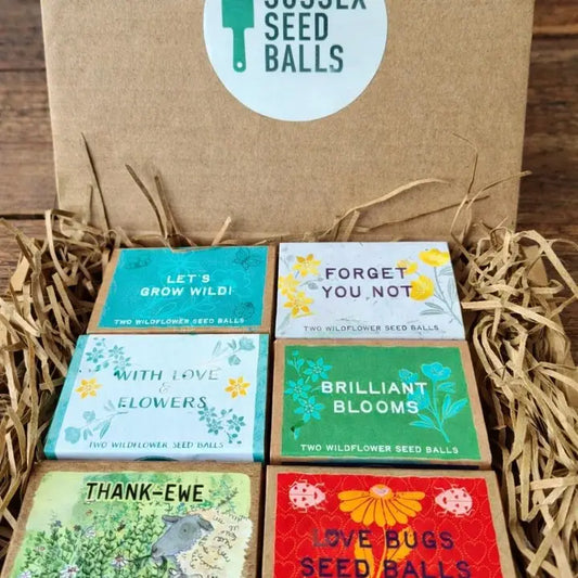 Gift Set of 6 Mini Wildflower Seed Ball Boxes