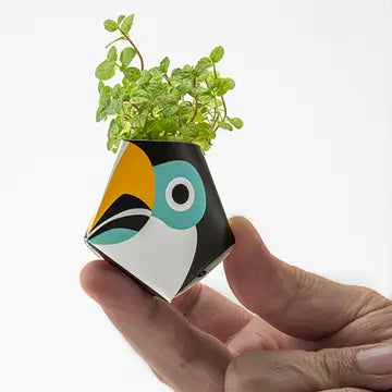 Oribon Rainforest Edition - Fold | Sow | Grow
