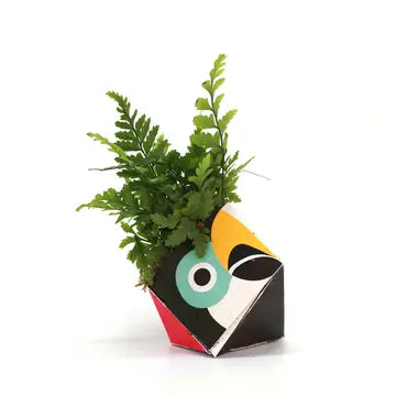 Oribon Rainforest Edition - Fold | Sow | Grow
