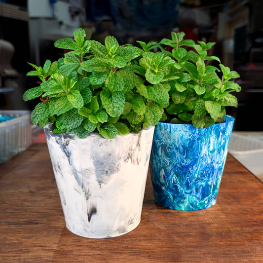 Recycled Plastic Plant Pots | Sustainable Indoor Plant Pots : Black Ice