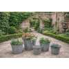 Set of 5 Galvanised Planters - XS to XL