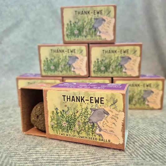 Thank-Ewe Seed Ball Gift Box, with Two Wildflower Seed Balls