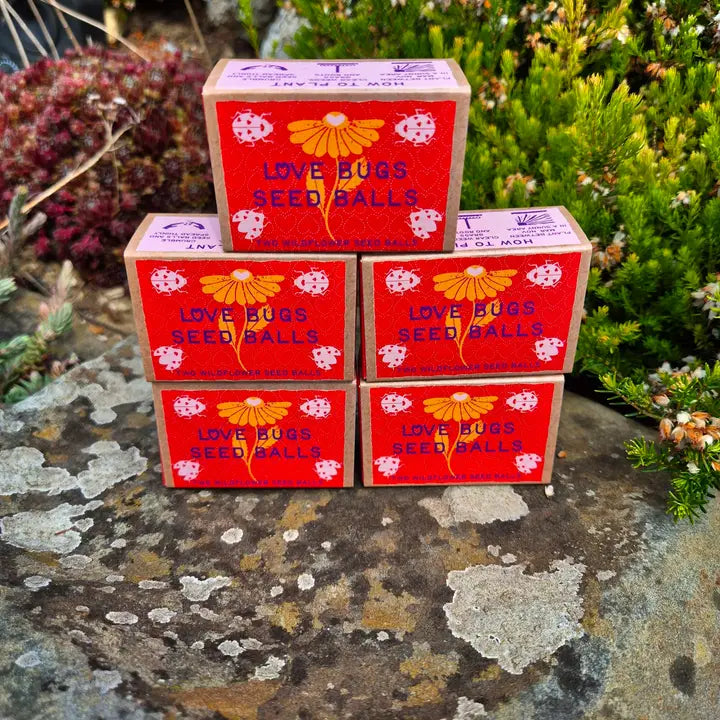 Love Bugs Seed Ball Gift Box, with Two Wildflower Seed Balls