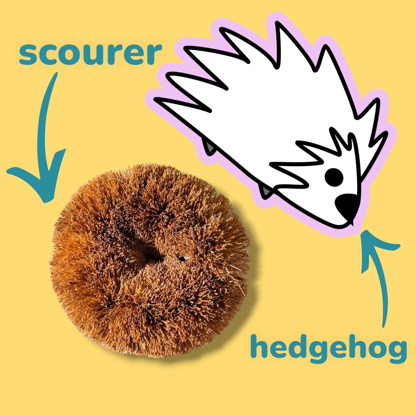 Hedgehog Coconut Scourers (2 pck) | Washing Up Scourers