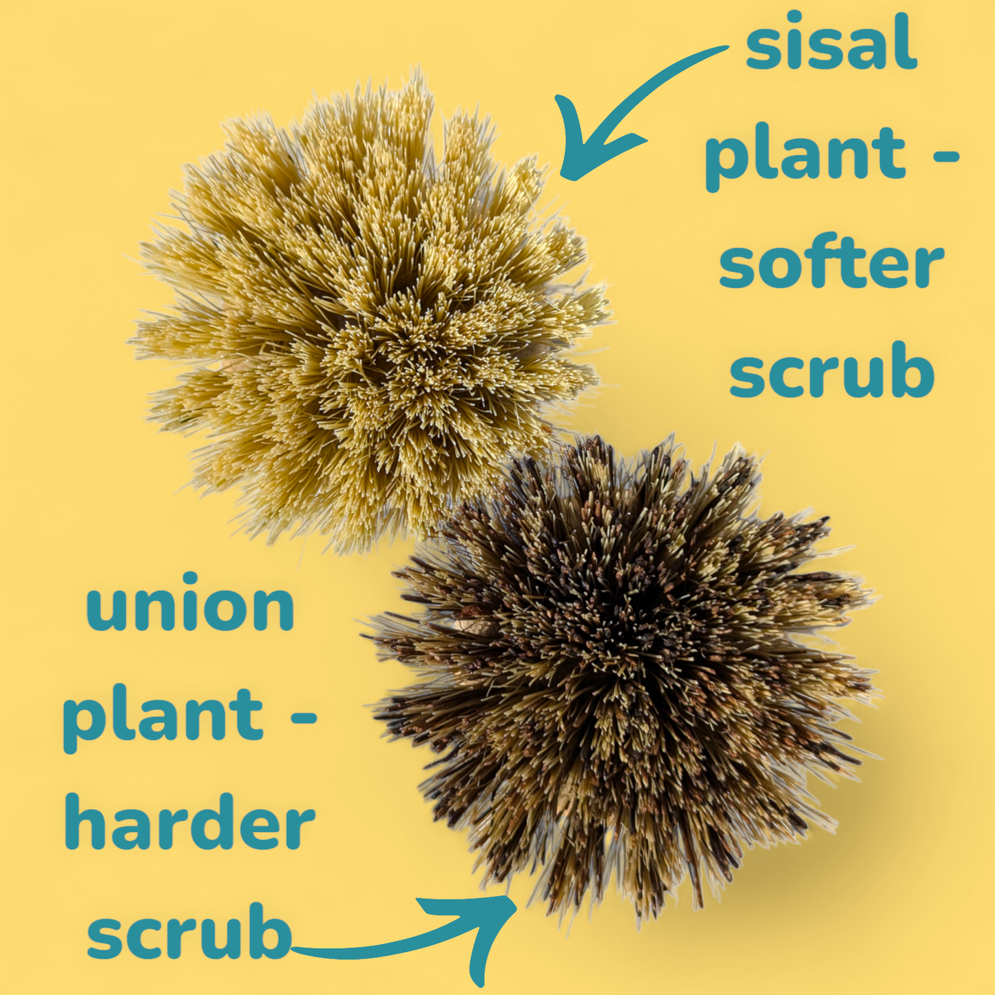 Cheeky Bamboo Eco Friendly Pot Scrubbing Brushes (pair)