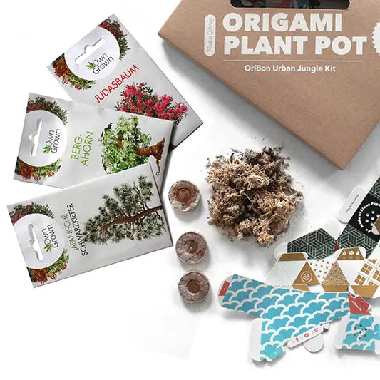 Oribon Japanese Edition - Fold | Sow | Grow