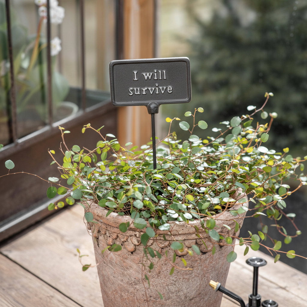 Plant Sign - High Maintenance - Dark Edition