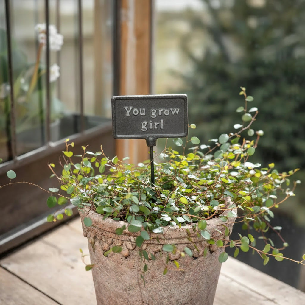 Plant Sign - You Grow Girl - Dark Edition