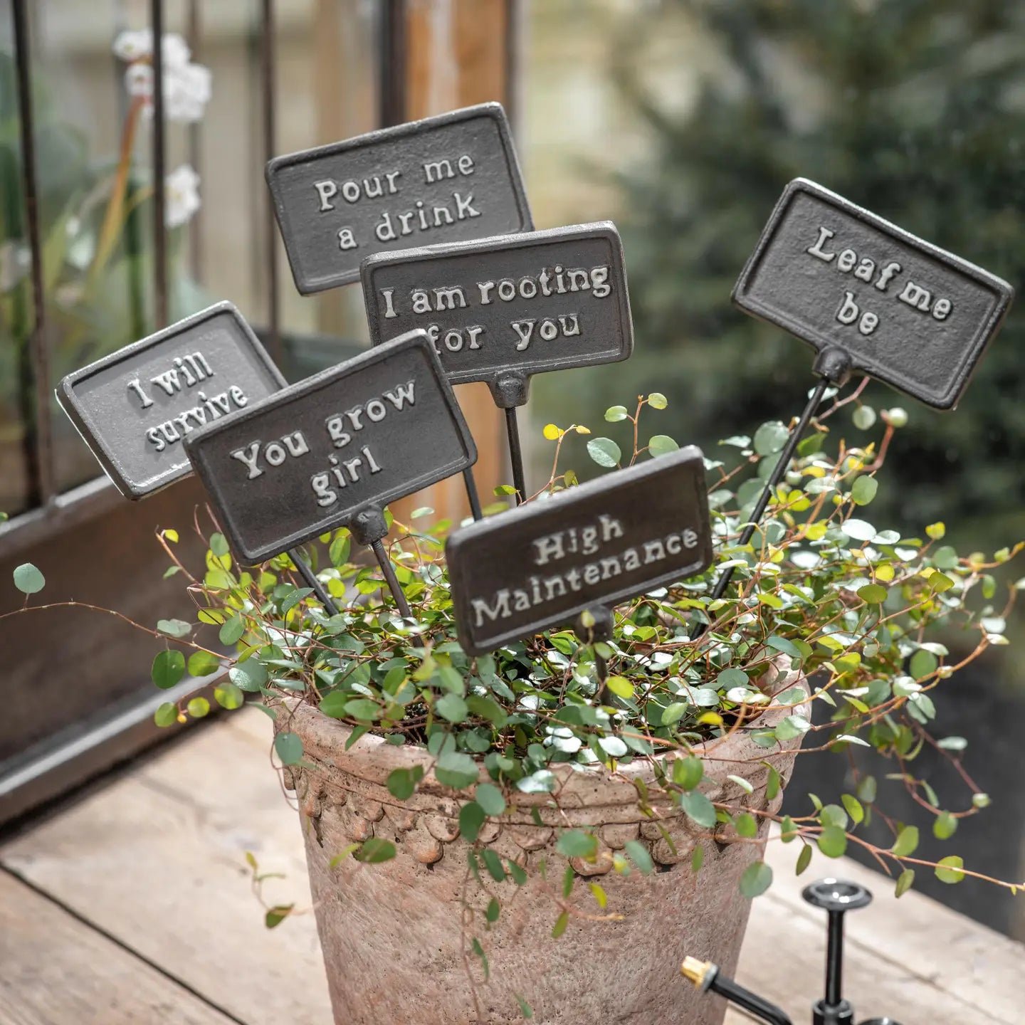 Plant Sign - You Grow Girl - Dark Edition