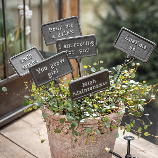 Plant Sign - I Will Survive - Dark Edition