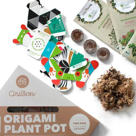 Oribon Rainforest Edition - Fold | Sow | Grow