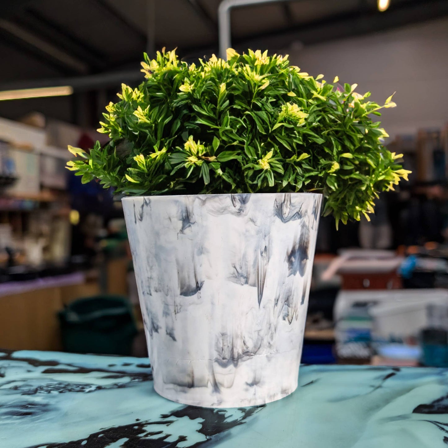 Recycled Plastic Plant Pots | Sustainable Indoor Plant Pots : Black Ice