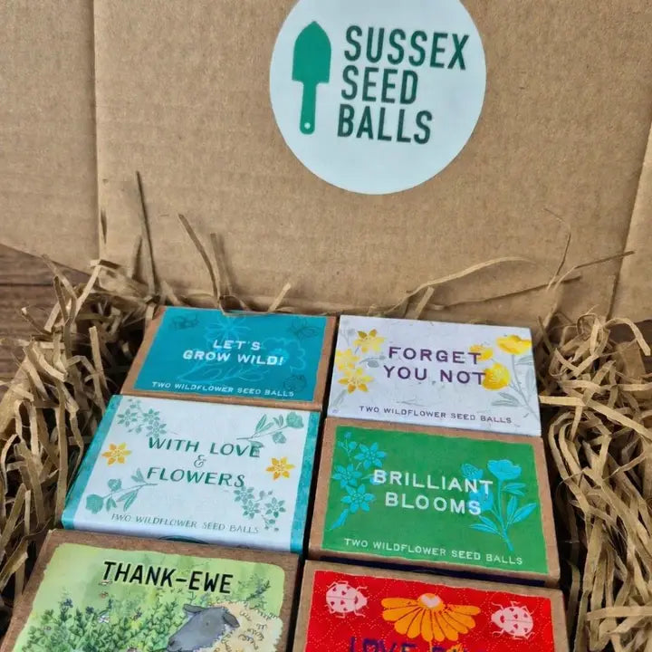 Gift Set of 6 Mini Wildflower Seed Ball Boxes