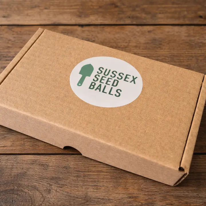 Gift Set of 6 Mini Wildflower Seed Ball Boxes