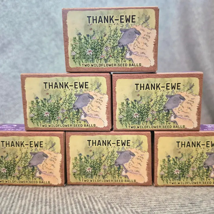 Thank-Ewe Seed Ball Gift Box, with Two Wildflower Seed Balls