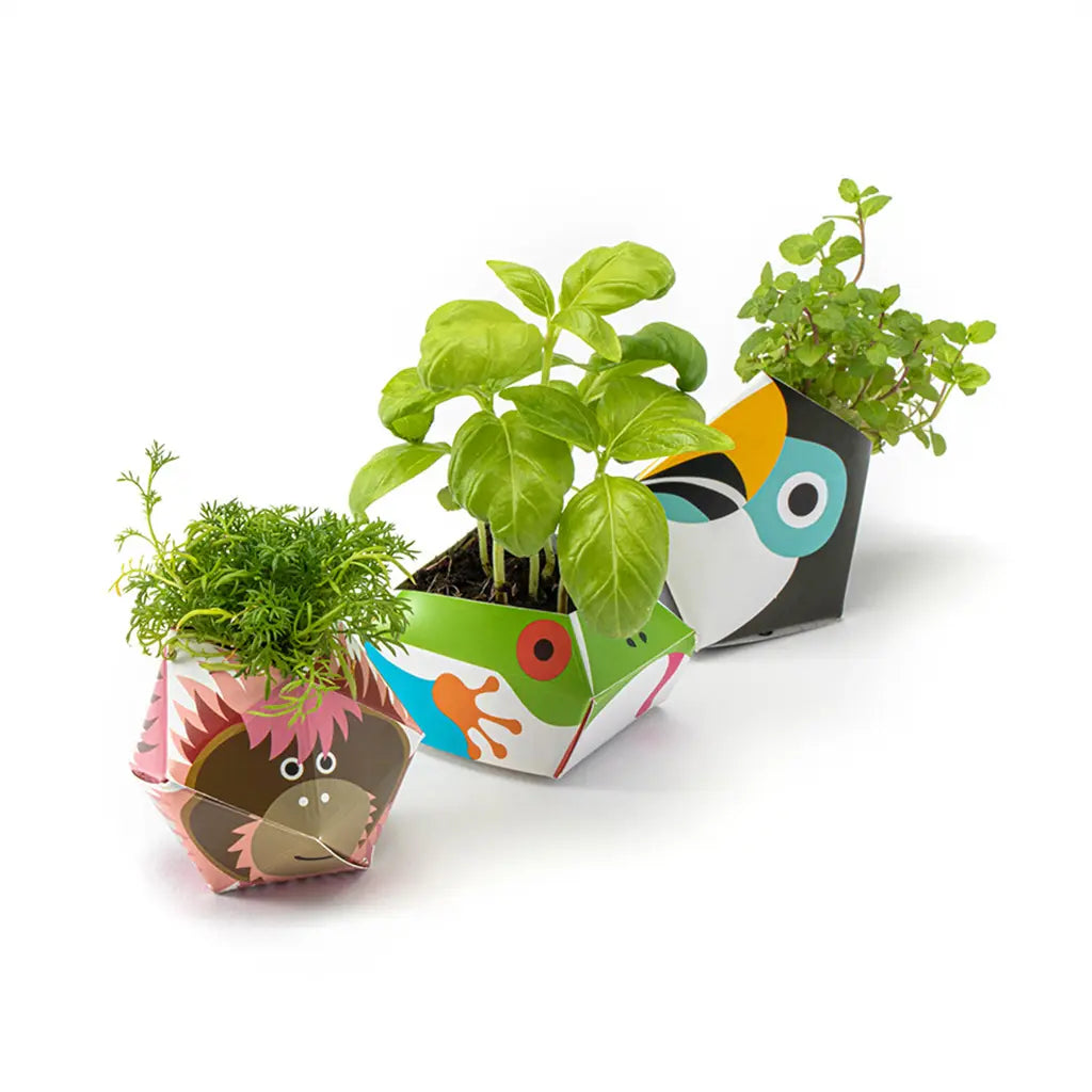 Oribon Rainforest Edition - Fold | Sow | Grow