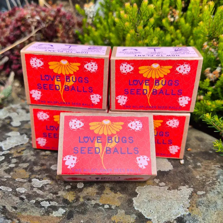 Love Bugs Seed Ball Gift Box, with Two Wildflower Seed Balls